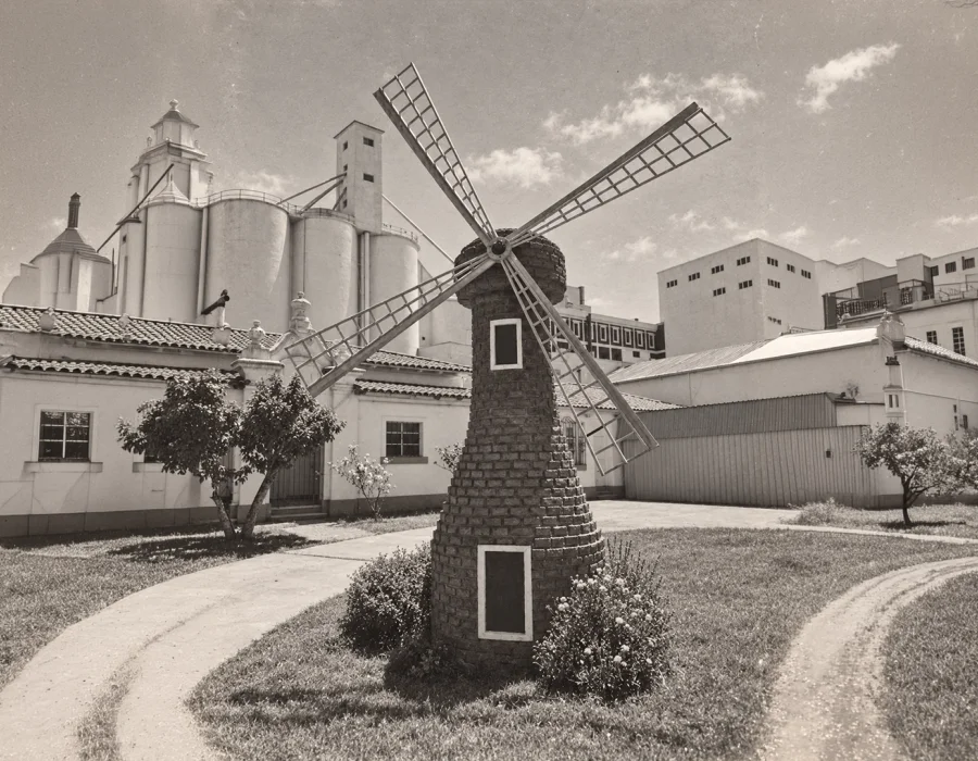 Vista del molino y el jardín con el molino de viento decorativo
